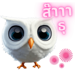 The wisdomist Owl
