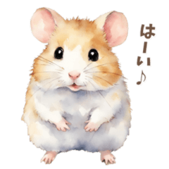 hamster daily life use