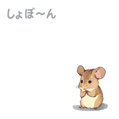 Cheerful Greetings of the Degu /Mouse