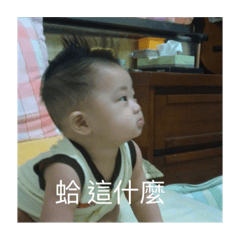 小翰的日常對話