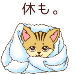 Soft Sand Cat Daily Sticker