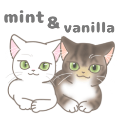 mint&vanilla