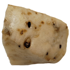 Food Series : Multigrain Bread (Bun) #4