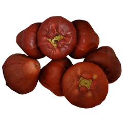 Food Series : WaxApple (Bell-Fruit) #3