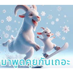 Playful Snow Goats:Thai