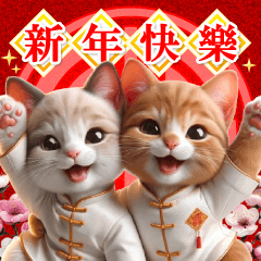 Chinese New Year cat