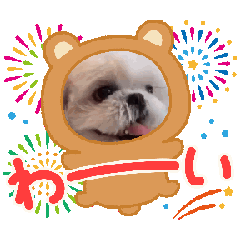 Tomokichi_20240126180115