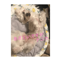 sone_20240126150531