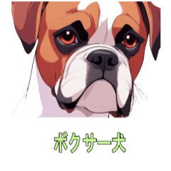 Boxer dog sticker for everyday use