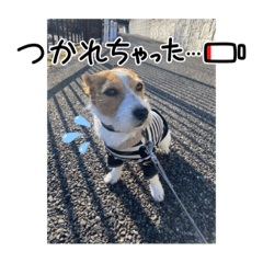 yokko_20240126175918