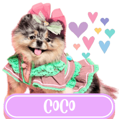 WOOFME WITH COCO