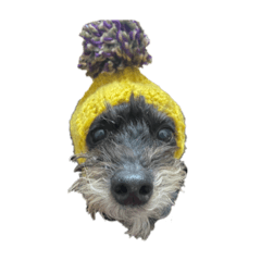 CHISA_20240126200946