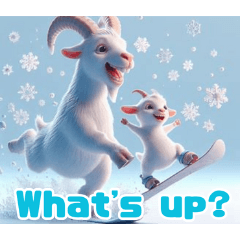 雪で遊ぶヤギ:英語