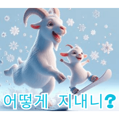 Playful Snow Goats:Korean