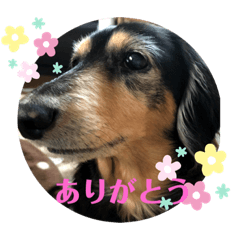 Kana_20240127095429