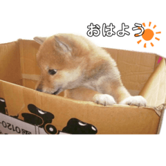 yuka_20240126234210