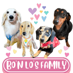 WOOFME WITH Bo'n Lo's Family