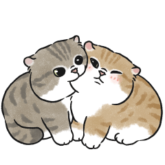 Oba cat11 - tabby cat sticker