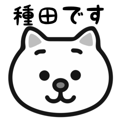 Taneta cat stickers