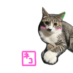 suzu_20240127101842