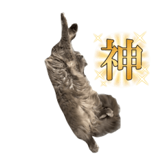 sakura_20240127103736