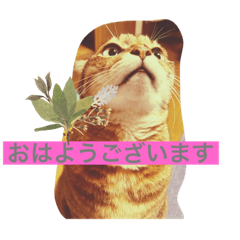 suzu_20240127104435