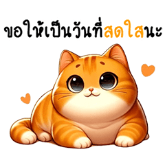 Chubby Chubby Orange Cat