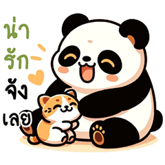 Chubby Panda Daily