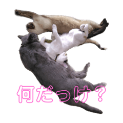 Omochi_20240127174552