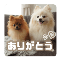 suzu_20240127201815