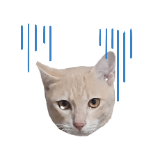 Somchoon_20240127190125