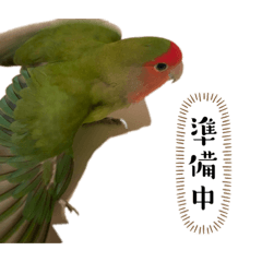tori_20240127213847