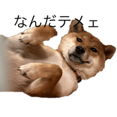 Yuri_20240127205410