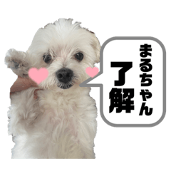 piimeee_20240127231153