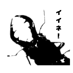 Insect Mushiko_mono beetles-s