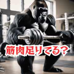 Muscular gorilla's daily life