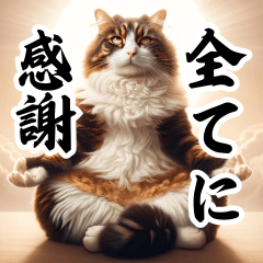 Zen Cats