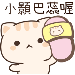 Star_Cat1_01955_SIAO HAO