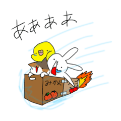 sakura_20240128105625