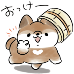 Shiba Inu Dog<Gag3>