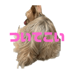 Kana_20240128123248
