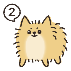 Cheese the Pomeranian 02