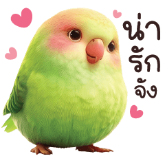 LOVE LOVE CUTE BIRD