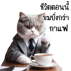 Cat Elimination Company Limited