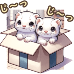 かわいらしいフェレット　№2