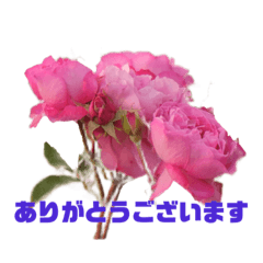 Icchan_20240128151156