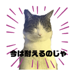 Hoshi family_20240129105314