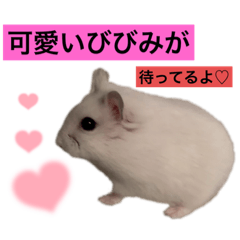 jiuri_20240128203034