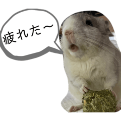 fuwa_20240128220502