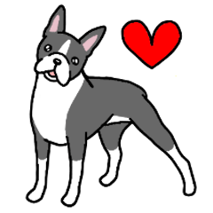 Dog Stamp Boston Terrier